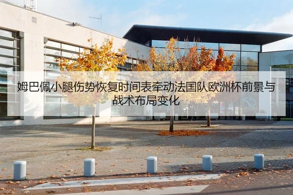 姆巴佩小腿伤势恢复时间表牵动法国队欧洲杯前景与战术布局变化